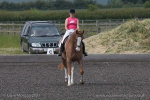 ISIS Dressage Challenge 2008